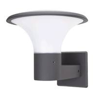 American Lighting 10 watt 120/277 volt 3000K Graphite LED Area Light